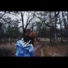 laurel_autumn